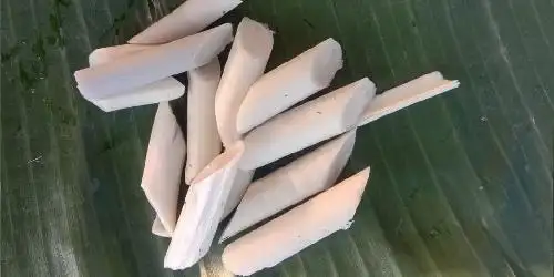 Lemang dan Pucuk Rotan Pak Regar, Letda Sujono