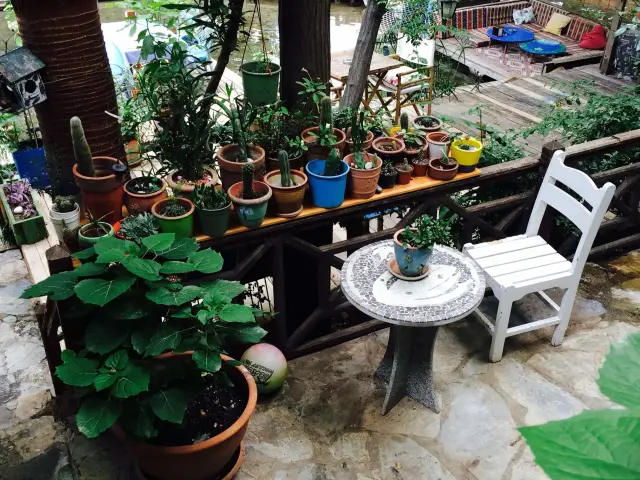 Paradise Cafe'nin yemek ve ambiyans fotoğrafları 4