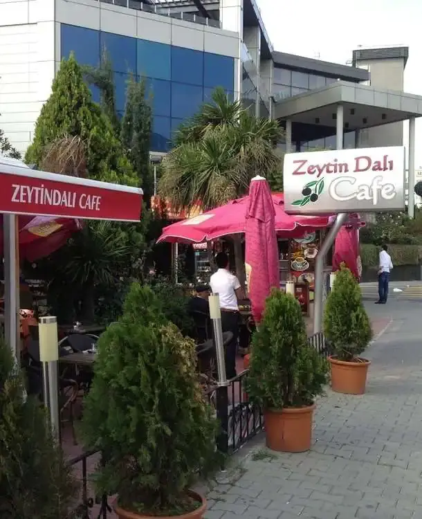 Zeytin Dalı Cafe Bakırköy 'nin yemek ve ambiyans fotoğrafları 13