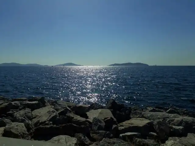 Altıntepe Sahil Beltur Cafe'nin yemek ve ambiyans fotoğrafları 3