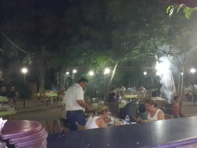 Çamlık Restaurant'nin yemek ve ambiyans fotoğrafları 4