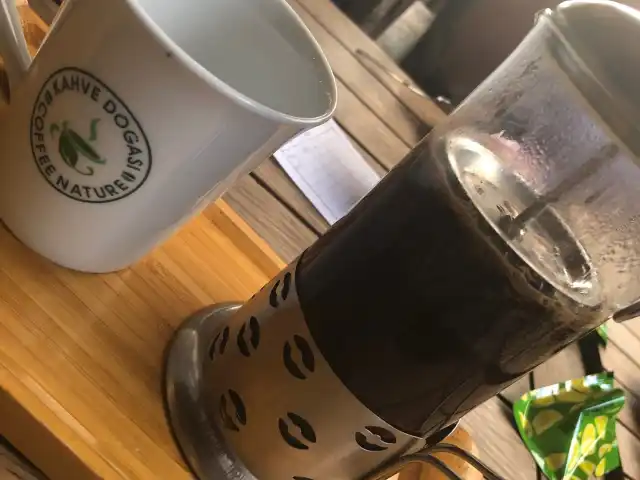 Kahve Doğası