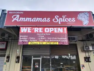Ammama's Spices Food Photo 1