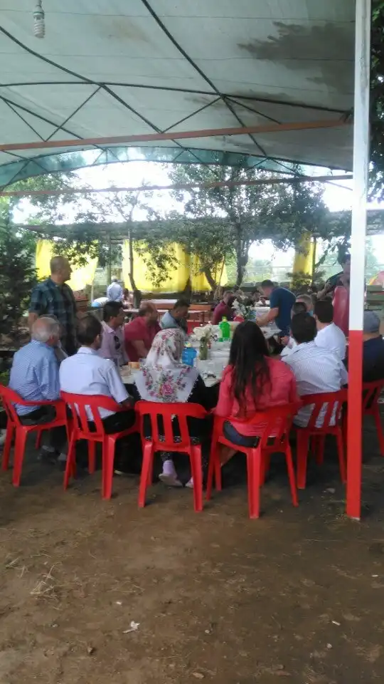 Has Kılıç Aile Restaurant'nin yemek ve ambiyans fotoğrafları 5