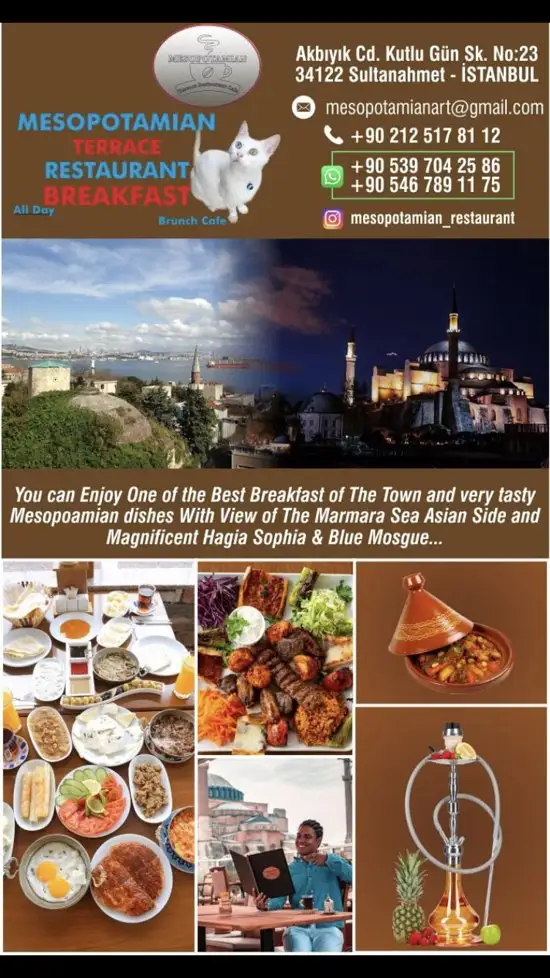 Mesopotamian Terrace Restaurant'nin yemek ve ambiyans fotoğrafları 16