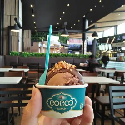 Cocoo Ice Cream