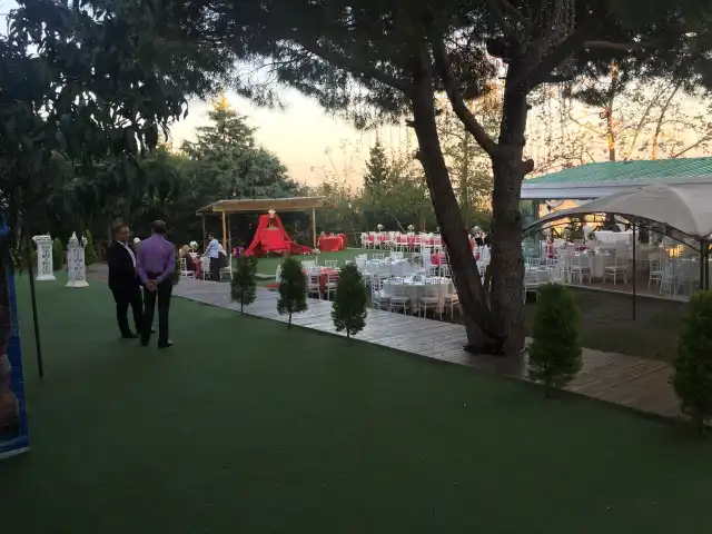 Boğaz Kır Tesisleri'nin yemek ve ambiyans fotoğrafları 2