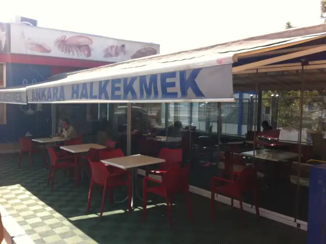 Ankara Halk Ekmek'nin yemek ve ambiyans fotoğrafları 2