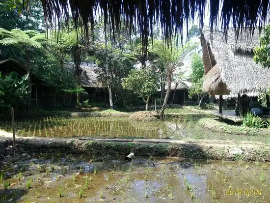 Gambar Makanan Sapu Lidi Makan Di Sawah 3