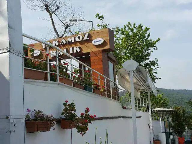 Boğaziçi Yakamoz Balık Restaurant'nin yemek ve ambiyans fotoğrafları 20