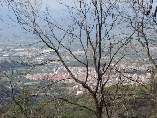 Kaplan Dağ Restaurant'nin yemek ve ambiyans fotoğrafları 71