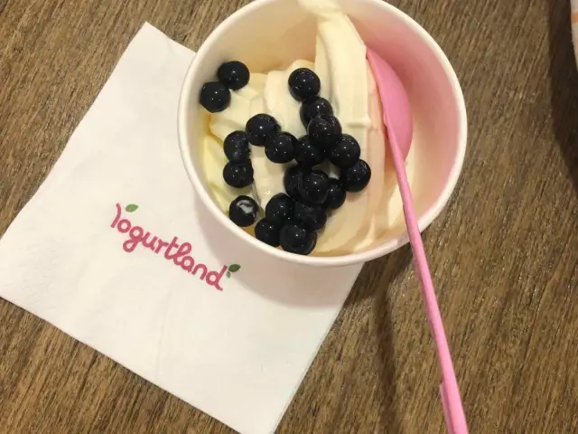 Gambar Makanan Yogurtland 5