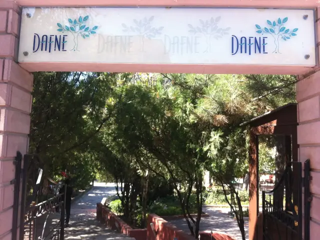 Dafne Restaurant'nin yemek ve ambiyans fotoğrafları 48