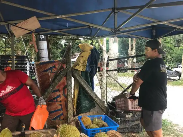 Durian Gemuk Mantin Food Photo 6