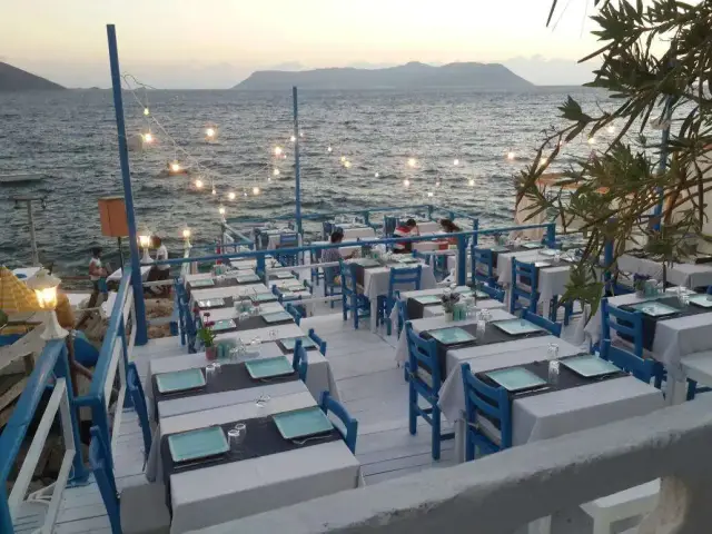Sardelaki Greek Tavern'nin yemek ve ambiyans fotoğrafları 6