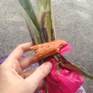 Muar Patin Tempoyak Food Photo 5