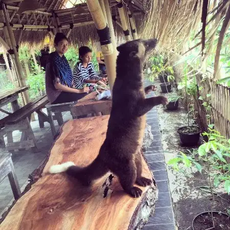 Gambar Makanan Warung Abian Seminyak 15