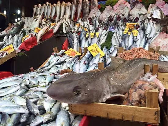 Coşkun Balık'nin yemek ve ambiyans fotoğrafları 13
