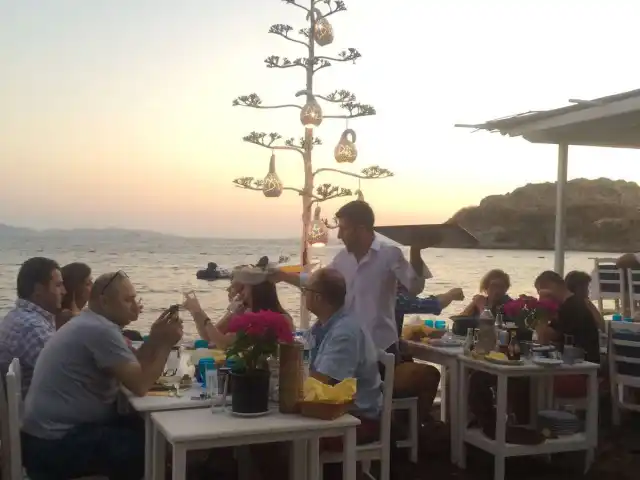 Siesta Restaurant'nin yemek ve ambiyans fotoğrafları 21