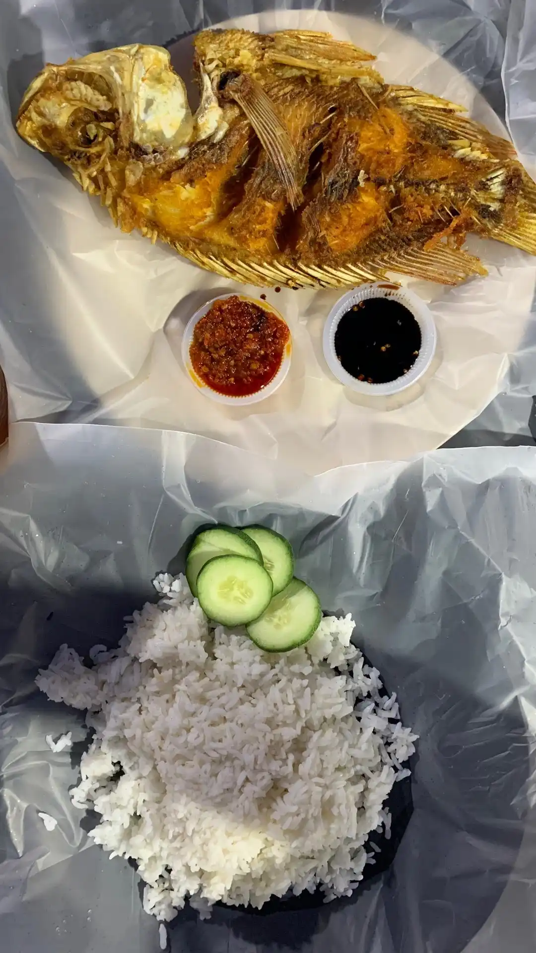 AR Patin Tempoyak