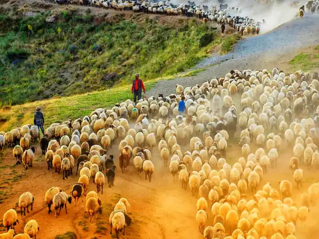 NAMLI KASAP'nin yemek ve ambiyans fotoğrafları 4