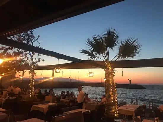 Yalı Balık'nin yemek ve ambiyans fotoğrafları 8