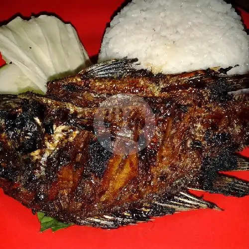 Gambar Makanan Aneka Ikan Bakar dan Ayam Bakar, Tandang Raya 10