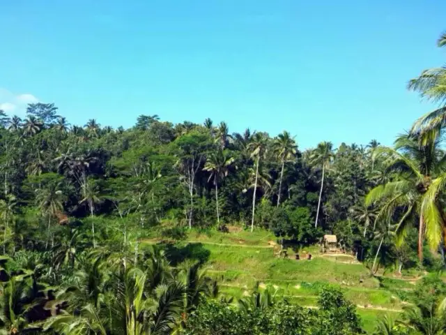 Gambar Makanan Rice Terrace Cafe 15