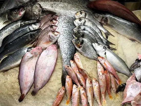 BalıkAda'nin yemek ve ambiyans fotoğrafları 10