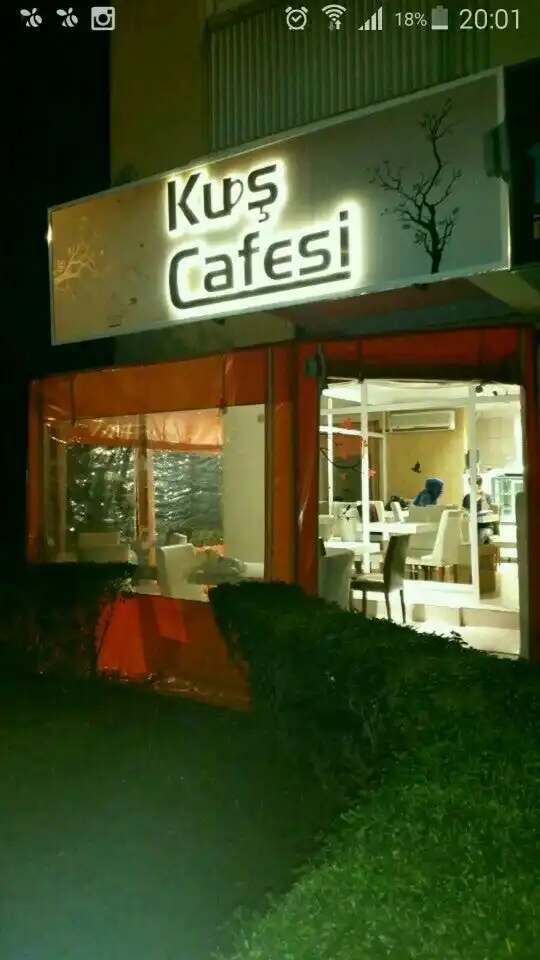KUŞ  CAFESİ'nin yemek ve ambiyans fotoğrafları 12