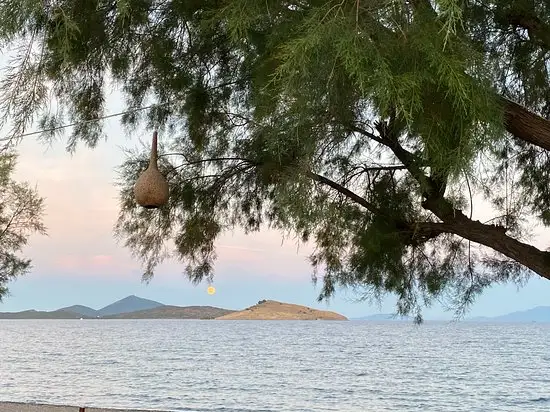 Rokka Beach Restaurant'nin yemek ve ambiyans fotoğrafları 57