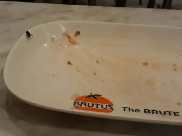 Orange Brutus Food Photo 13
