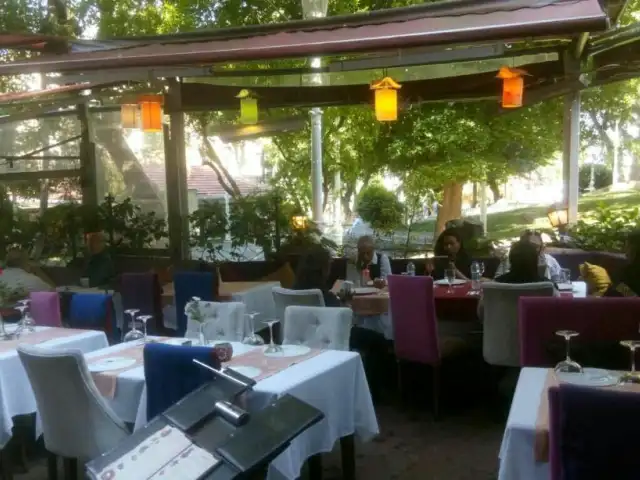 PALMiYE CAFE RESTAURANT'nin yemek ve ambiyans fotoğrafları 18