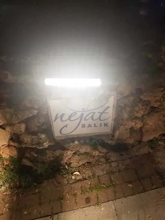 Nejat Balık'nin yemek ve ambiyans fotoğrafları 64