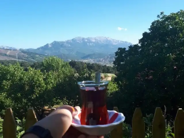 Alpu Köyü Kardelen Pide Fırını'nin yemek ve ambiyans fotoğrafları 1