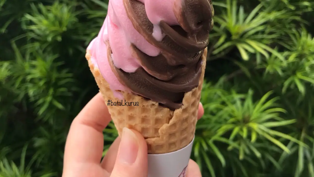 Soft Ice Cream