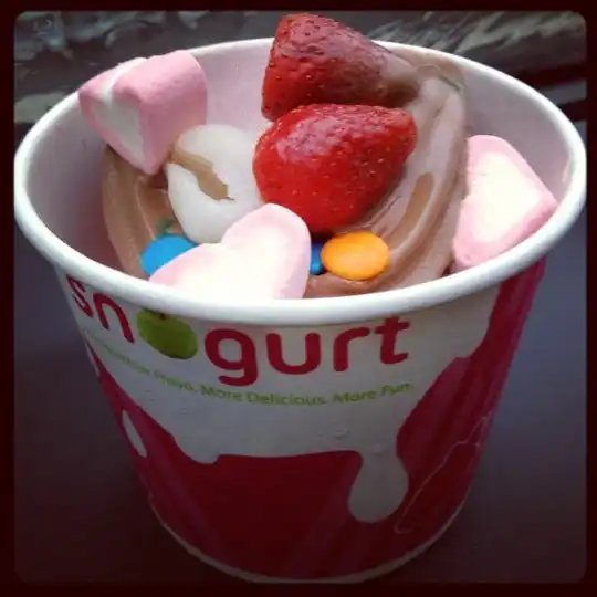 Snogurt Food Photo 14