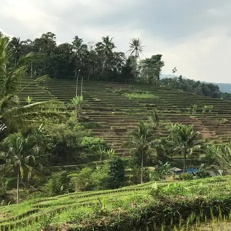 Gambar Makanan Nasi Liwet Pak Asep Stroberi Ciawi 11