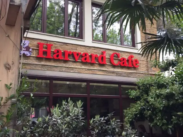 Harvard Cafe'nin yemek ve ambiyans fotoğrafları 34