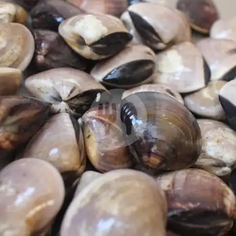 Gambar Makanan Ephatea Kerang Kiloan, Perintis Kemerdekaan 4