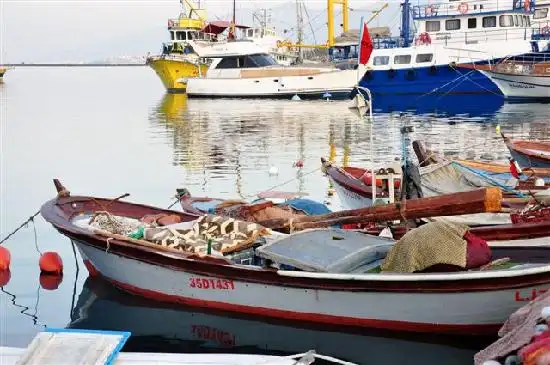 Sahil Restaurant Urla'nin yemek ve ambiyans fotoğrafları 4