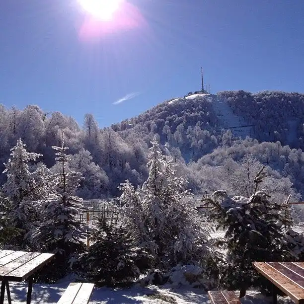 Snow Angel Cafe