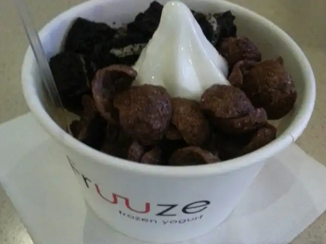 Fruuze Frozen Yogurt Food Photo 13