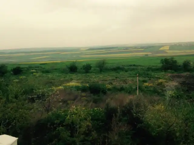 Ağaoğlu Et Mangal'nin yemek ve ambiyans fotoğrafları 2