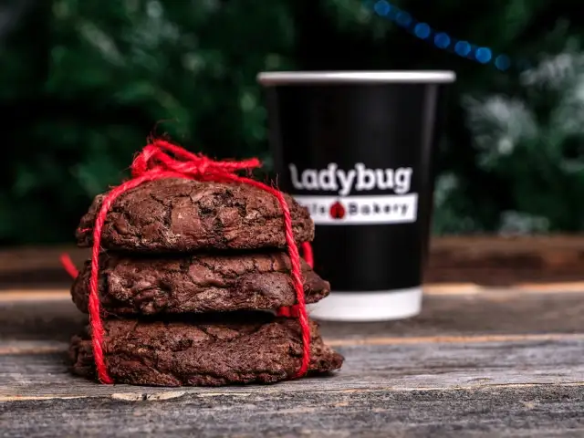 Ladybug Cafe'nin yemek ve ambiyans fotoğrafları 13