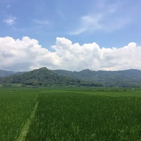 Gambar Makanan Geblek Pari Nanggulan 13