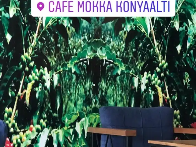 Cafe Mokka Konyaaltı'nin yemek ve ambiyans fotoğrafları 1