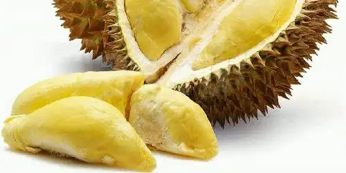 Katan Durian Pak Dapit, Perintis Kemerdekaan
