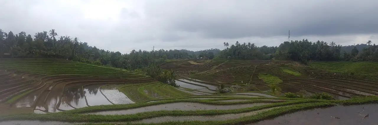 Gambar Makanan Cempaka Belimbing Villas 3