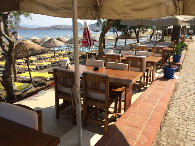 Irmak Restaurant'nin yemek ve ambiyans fotoğrafları 2